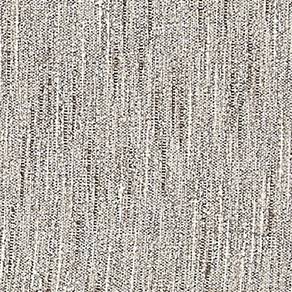 Holly Glen Birch.jpg