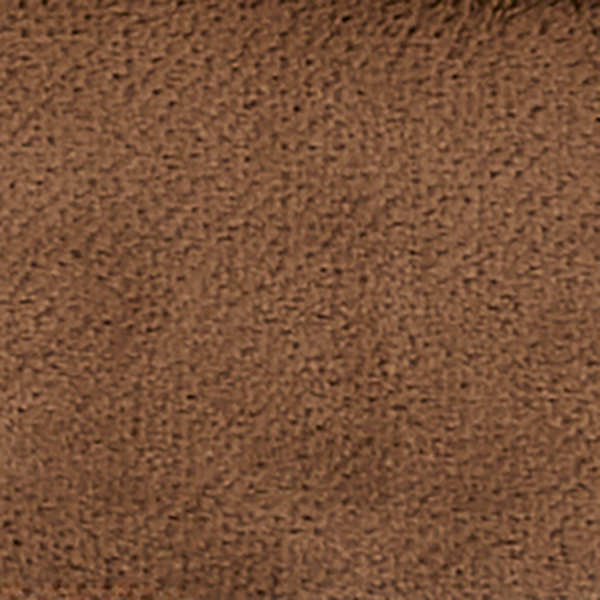 Winter Camel.jpg
