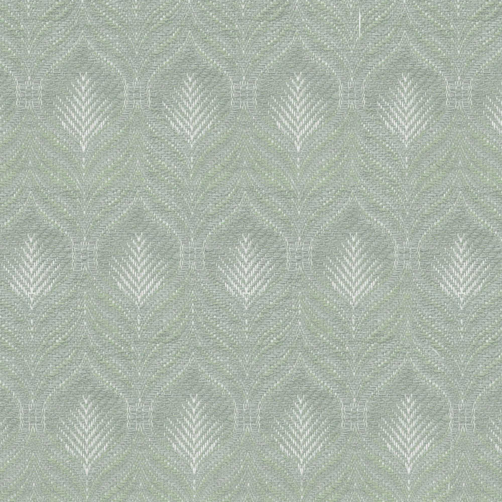 2779_Maranta-Sage_C.jpg