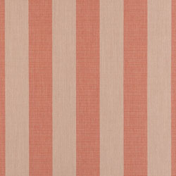 Expressive Blush