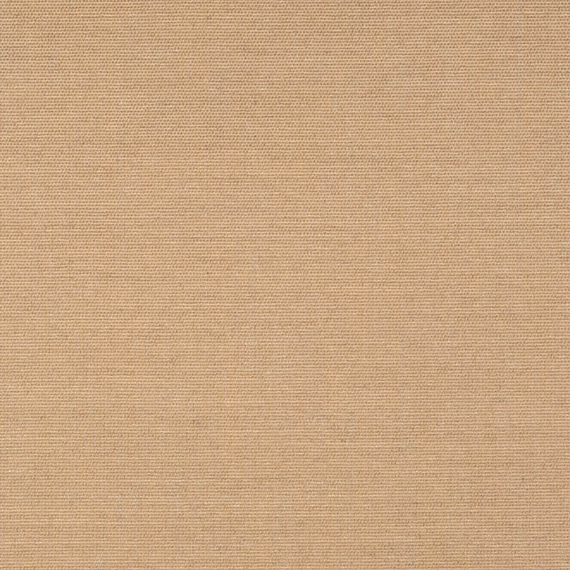 J94_Play-Camel_40616-0003.jpg