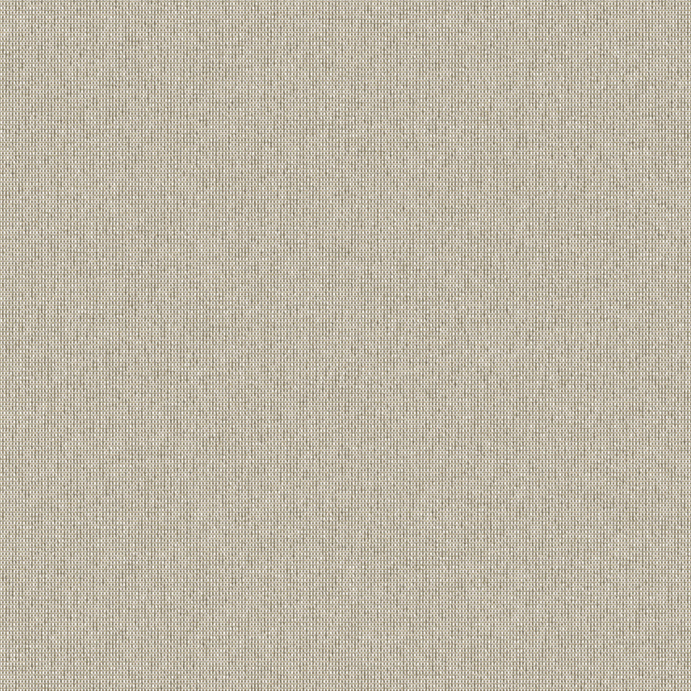 2702_Coastline-Shale_B.jpg
