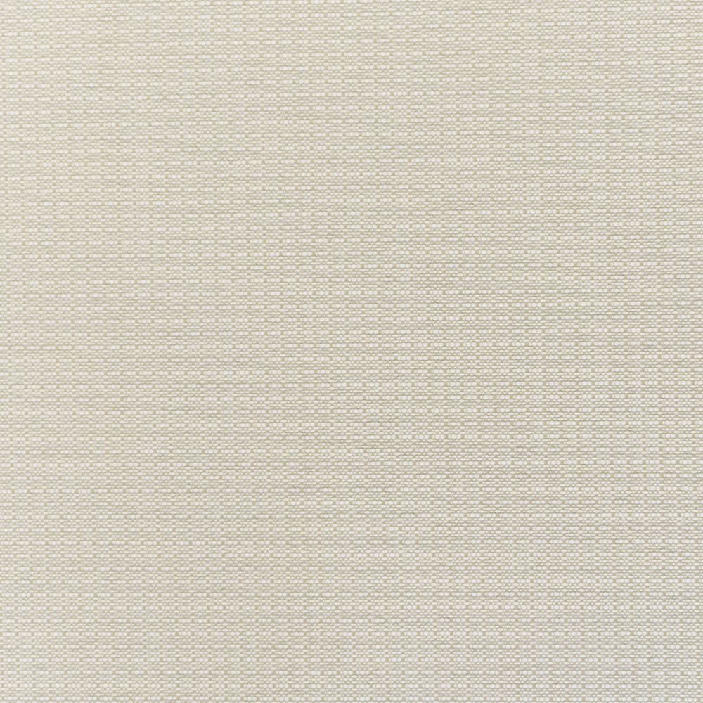 2756_Fortune-Champagne_A.jpg