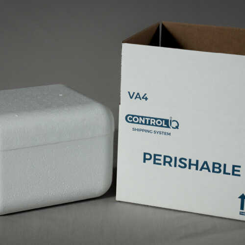 Product Section Image