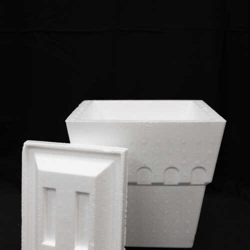 section main image