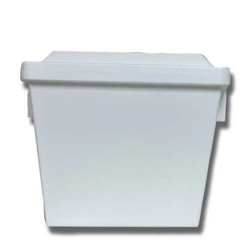 section main image