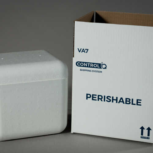 Product Section Image