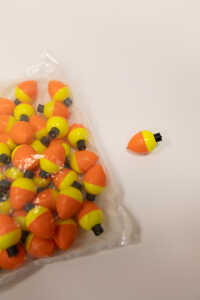 Product Section Image